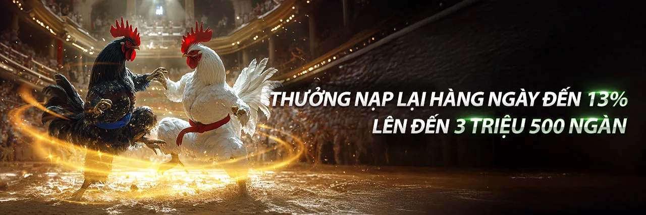 Đá Gà Trực Tuyến Hấp Dẫn tại luck8 info